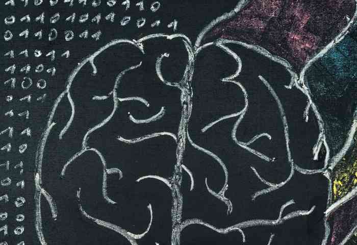 Chalkboard drawing of a brain.