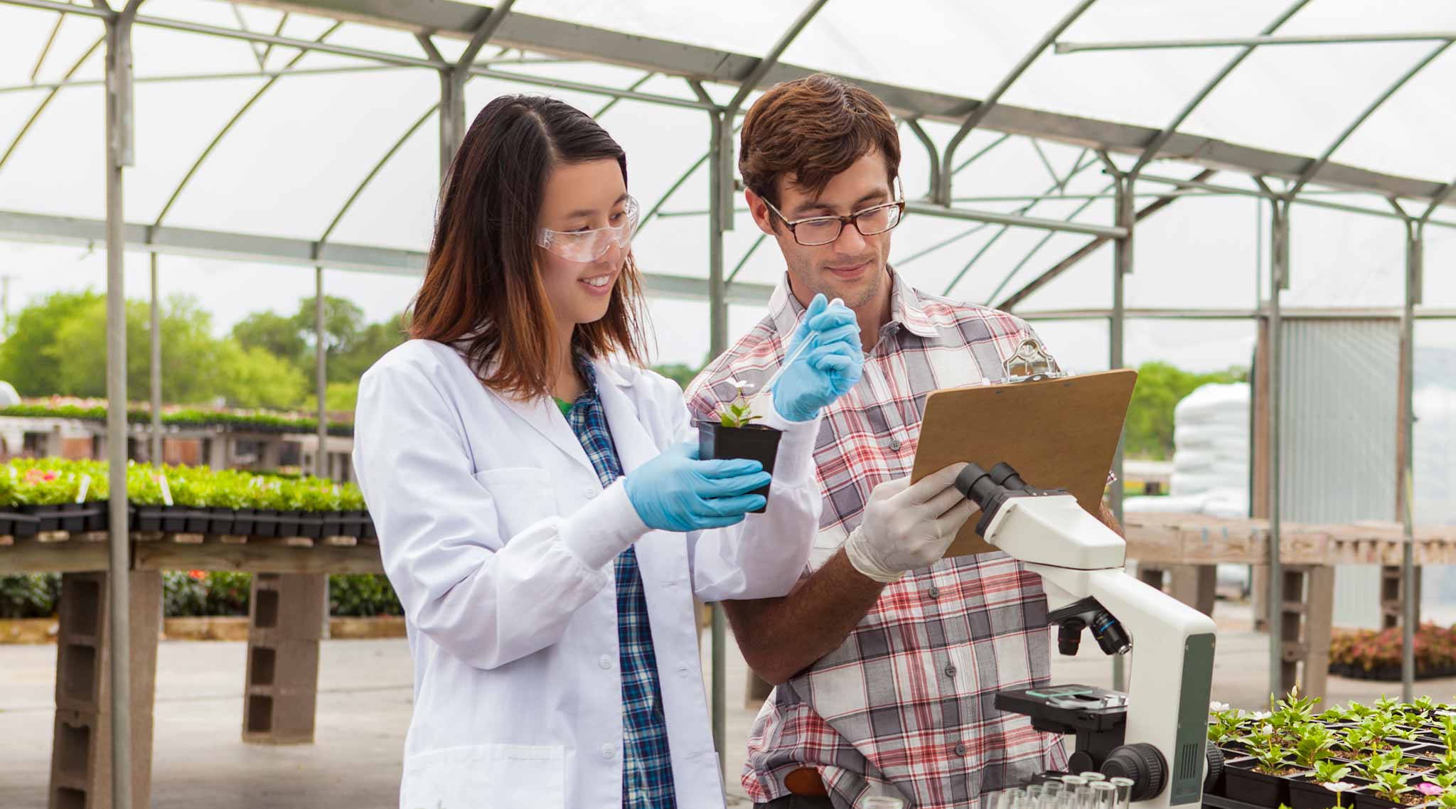 Two agricultural professionals working in a greenhouse.