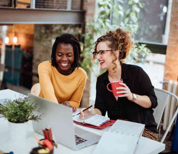 Two Businesswomen Working On Computer In Office.