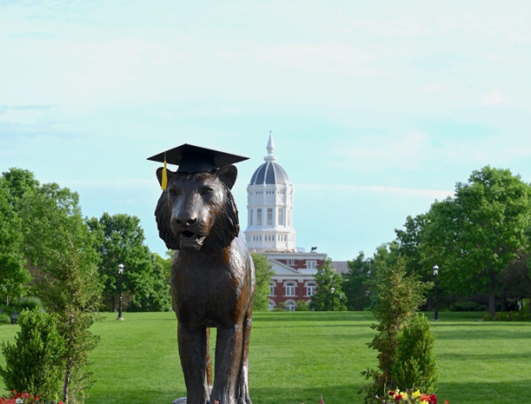 Tiger statue on Mizzou's campus wearing a graduation cap.