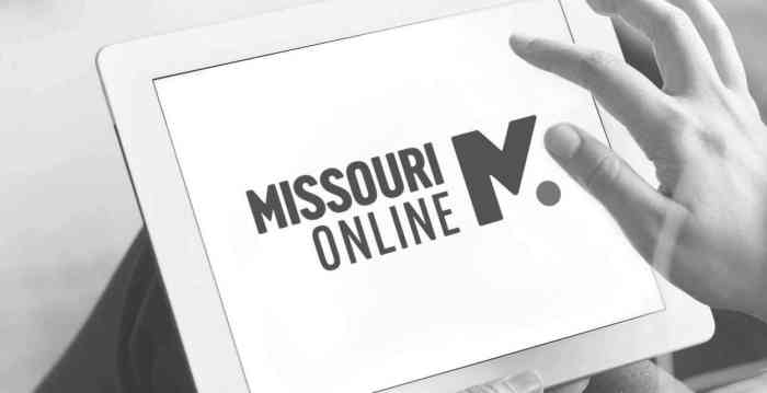 Person's hand on a tablet that displays the Missouri Online logo.