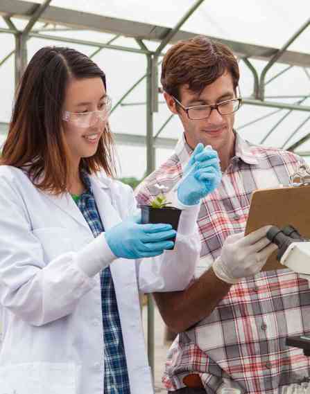 Two agricultural professionals working in a greenhouse.