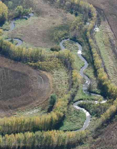 A field and a stream.