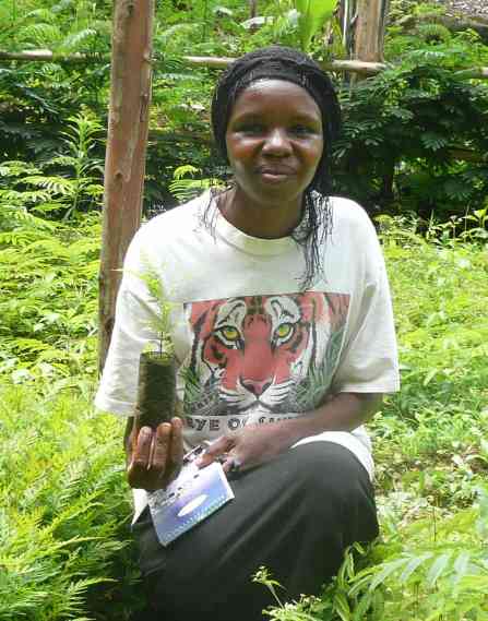 A person in a field holding a plant.