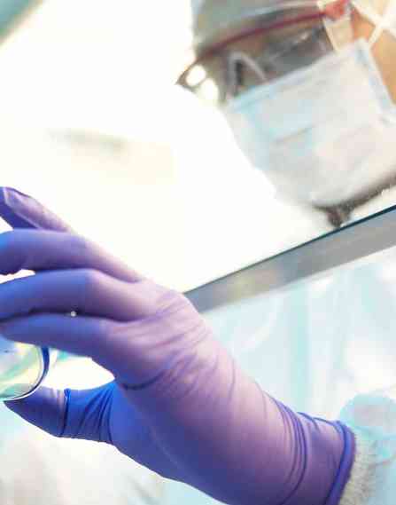 Biological engineering (non-thesis) | MS | Mizzou | Missouri Online