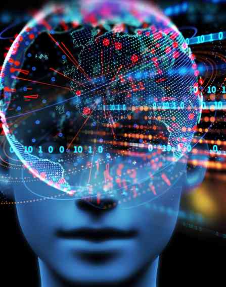 Model of human head with data.