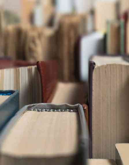 Books sitting on a bookshelf.