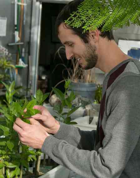 An environmental engineer working in a lab with plants.