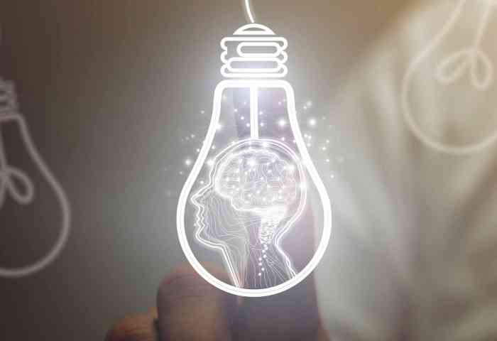 Illustrated lightbulbs, with one depicting a human brain.