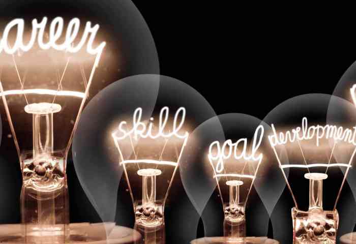 Lightbulbs that spell out plan, success, career, skill, goal, development, motivation and growth.