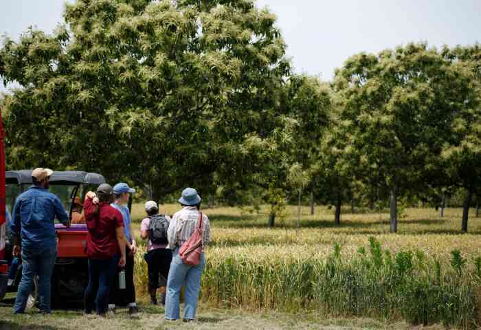 banner - Agroforestry Academy Selects MD