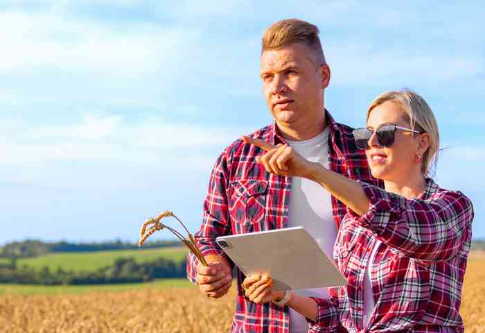 Two agriculture specialists assess a wheat field.
